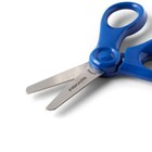 Fiskars 5  Blunt Tip Scissors