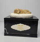  Pet Memorial Urn For Dog Ashes  Labrador Dog Figurine Cremation J mafoliz1901 