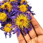 Egyptian Lotus 100  Organic Dried Blue Lotus Whole Flower Nymphaea Caerulea 1 Oz