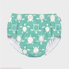 Green Sprouts Toddler Eco Pull-up Turtle Printed Reusable Swim Diaper - Teal 24m