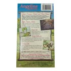 Angelina Ballerina Lights Camera Action Vhs New Sealed Video Movie Children