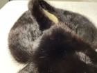 Vintage Black Mink  collar      