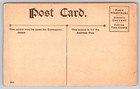 Black Americana Postcard  no Race Suicide  Stork Flying African American Babies