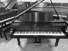 Steinway L Grand Piano   - Meticulous