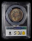Pcgs Ms 64  1892 Columbian Silver Half Dollar   - Monster Toner   