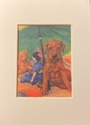 Irish Terrier - Matted   Framed   Ready To Gift - New Dog Art Print W