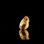 Netsuke Dragon Fish Contemporary Signed By Artist Antique Japanese Style