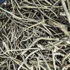Devils Shoestring 1 2 Lb Bulk Roots Wholesale Herb For Magic  Witchcraft  Hoodoo