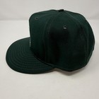 Vintage South Bend Silver Hawks Hat Cap Snapback Minor League Baseball Green