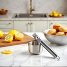 Stainless Steel Lemon Zester   Grater     Kitchen Peeler Grater Wholesale Lot