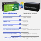12v 200ah 15000 deep Cycle Lifepo4 Lithium Battery Built-in Bms For Rv Solar