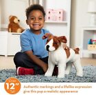 Melissa   Doug Giant Jack Russell Terrier - Lifelike Stuffed Animal Dog  over 12