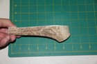 Medium Split Elk Antler  11 Dog Bone Chews Toy Chew Treats Deer 1018