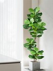 70-135cm Artificial Ficus Tree     Fake Rubber Plant For Home   Garden Decor