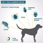 2x Flea tick Collar For Large Dogs 18lbs 8months Protection New Sealed