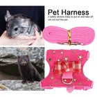 Small Animal Walking Harness Vest Leash Set For Ferret Chinchilla