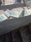 South African Reserve Bank 10