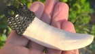 Large Real Saltwater Crocodile Tooth 8 5cm Long  With Embroidered Fastening Cap 