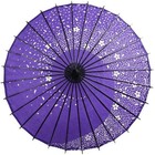 Japanese Umbrellas Traditional Japanese Crafts Antiques Popular Souvenirs Wagasa