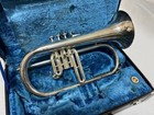 Yamaha Yfh-731 Flugelhorn Bb Used With Case Mouthpiece