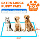 Extra Large Dog Pee Pads Super Absorbent  30 36inch