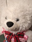 Build A Bear Plush White Teddy Pants Shirt Outfit  Cuddle Stuffed Animal 16 In