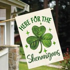 St Patricks Day House Flag 28x40 Inch Double Sided Outside  28  X 40  Green