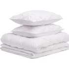 Warm  Breathable Down-alternative Comforter Set  3-piece Bedding With Pinch