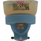 Philips Msd Platinum 21r Lamp For The Elation Proteus Hybrid V21bs Ip