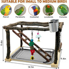 Parrot Playstand Bird Play Gym Cockatiel Playground Wood Perch Stand Climb Swing