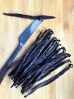 25 Madagascar Grade A Premium Bourbon Vanilla Beans  whole 