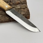 Hand-forged Bushcraft Knife     52100 Steel Blade  Ash Wood Handle  Camping Knife 