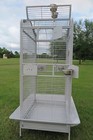 28 l X 22 w X 62 h Parrot Open Play Dome Top Cage Cockatiel Macaw Conure Cage 
