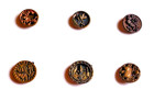 Antique Vintage  Lot Of 12 Small Metal Picture Buttons - M150