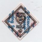 Lion Cub Rank Patch W  New  scouting America  Slogan Backing  Mint 