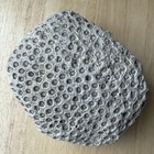 Fossil Coral Colony Specimen 5 5  Detailed Tarrant County Texas Creek Find 42 Oz