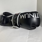 Title Boxing Gloves M Platinum As Shown