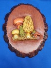 Vintage 1970 s Retro Set Of 2 Raised 3d Mushroom Wall Decor Ceramic Plaques