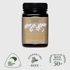 Raw Manuka Honey   Mason Brothers    Mgo 50    Multi Floral   17 6oz