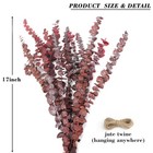 20pcs Dried Red Eucalyptus Stems 17  Natural Fresh Eucalyptus Plant For Shower