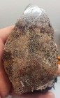 Dinosaur Bone Slab   224 Grams   5  X 3  X 1 2    Polished On One Side  