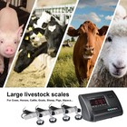 Livestock Scale Kit For Cattle Hogs Sheep Goats Pigs Squeeze Chutes Pallet Scale