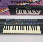 Vintage Casio Sa-20 100 Sound Tone Bank Keyboard Piano Tested Working 