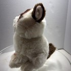 Gund Grumpy Cat  4040133 Stuffed Animal 10  Plush 