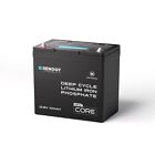 Renogy Duoheat Tech-core Mini 12v 100ah Lithium Iron Phosphate Battery