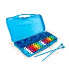 Sonart 25 Notes Kids Glockenspiel Chromatic Metal Xylophone W  Case   2 Mallets