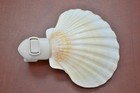 Deep White Irish Scallop Sea Shell Night Light Bathroom Kitchen