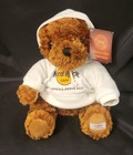 Hard Rock Cafe  love All Serve All   Cute Collectable Brown Teddy Bear W hoodie 