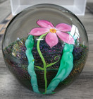 Signed Lundberg Studios 1979 Dichroic Bamboo   Botanical Flower Paperweight