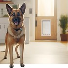 Ideal Pet Products Designer Series Plastic Pet Door Large 15x20 Inch Flap Tel   